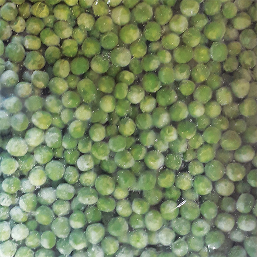 Frozen Vegetable - Green Peas