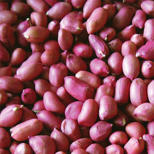 Jumbo Runner Peanut (Light Pink) 